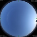 1585913868.jpg