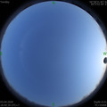 1585914048.jpg