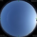 1585914768.jpg