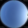 1585914828.jpg
