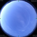 1585953758.jpg