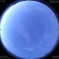 1585953848.jpg