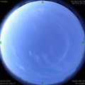 1585954058.jpg