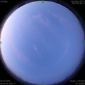 1585956354.jpg