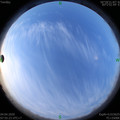 1585961742.jpg