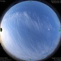 1585961802.jpg