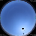 1585986294.jpg