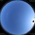 1585998600.jpg