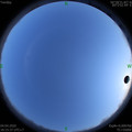 1585998960.jpg