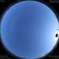 1585999020.jpg