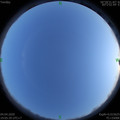 1586001961.jpg