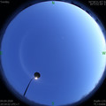 1586008460.jpg