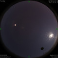 1586029400.jpg