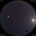 1586031906.jpg