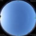 1586047019.jpg