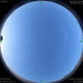 1586047259.jpg