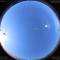 1586051461.jpg