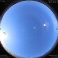 1586051701.jpg