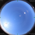 1586056203.jpg