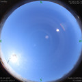 1586056503.jpg