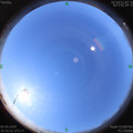 1586056864.jpg