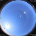 1586057584.jpg