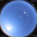 1586058905.jpg