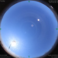 1586058965.jpg