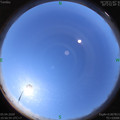 1586059025.jpg