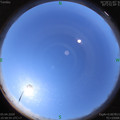 1586059145.jpg
