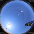 1586059985.jpg