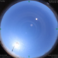 1586060946.jpg