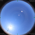 1586061186.jpg
