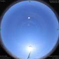 1586068509.jpg