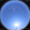 1586069950.jpg
