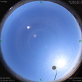 1586076418.jpg