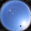 1586077499.jpg