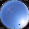 1586077859.jpg
