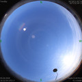 1586079180.jpg