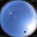 1586079600.jpg
