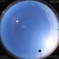 1586079660.jpg