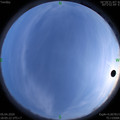 1586084732.jpg