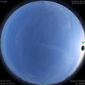 1586086594.jpg