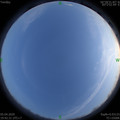 1586090555.jpg