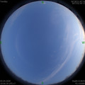 1586091411.jpg
