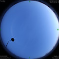1586092986.jpg