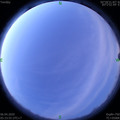 1586126063.jpg