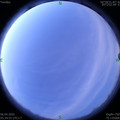 1586126123.jpg