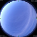 1586126198.jpg