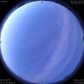 1586126498.jpg